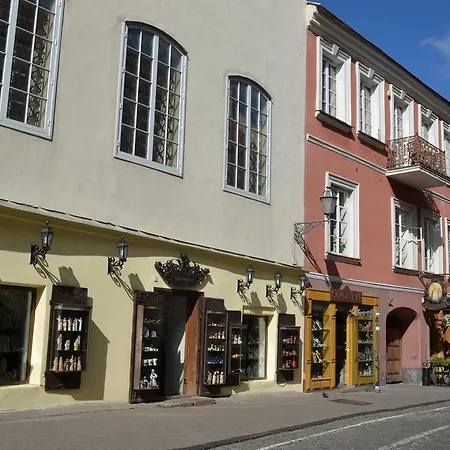 Vilnius Collegium Apartment Butas